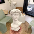 Vaso Hidropônico para Decoração Carpetino