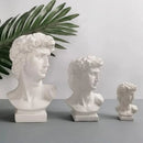 Vaso Hidropônico para Decoração Carpetino